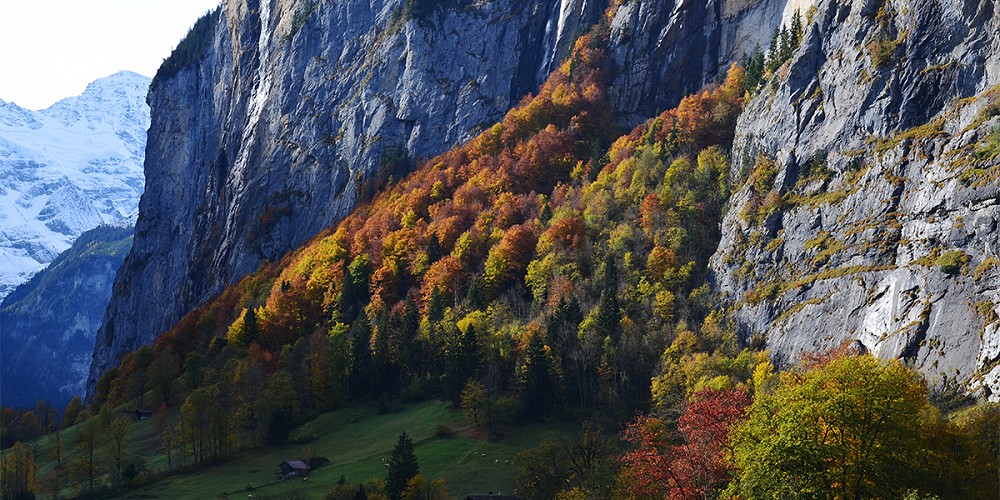 Forst Lütschinentäler