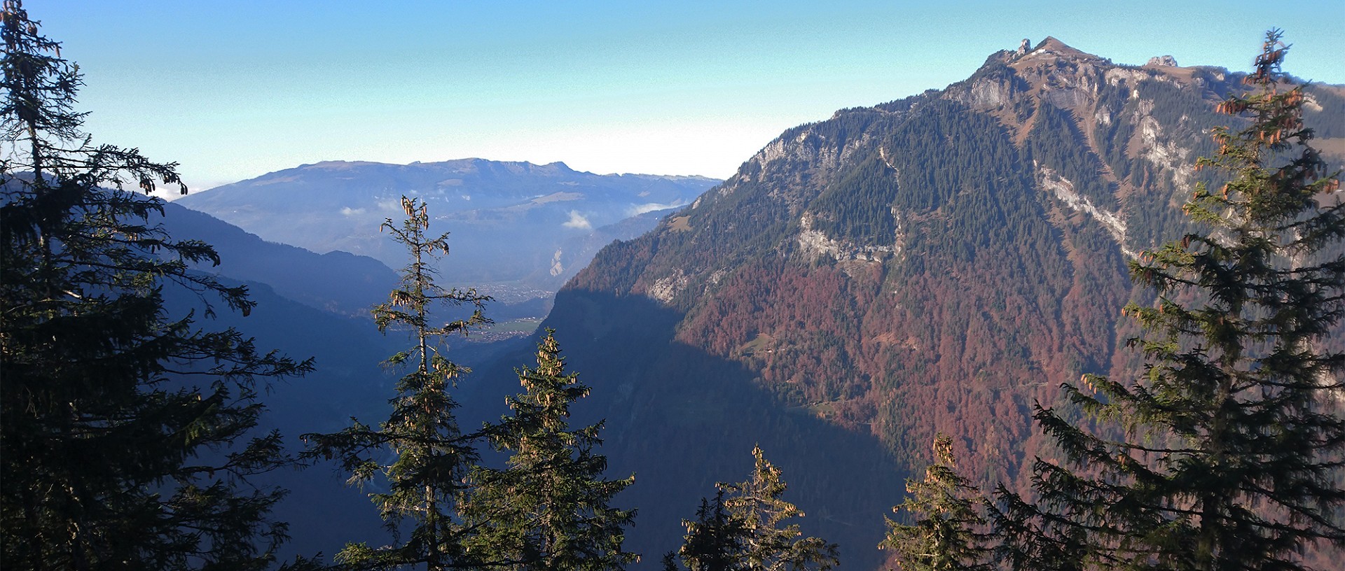 Forst Lütschinentäler