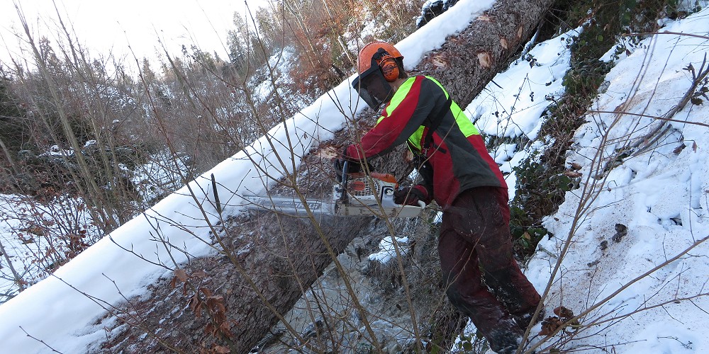 Forst Lütschinentäler